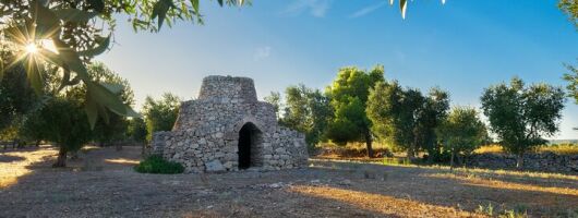 Day Tour of the Itria Valley