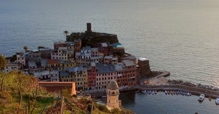 Vernazza Olive Grove and Coastal Hike Adventure