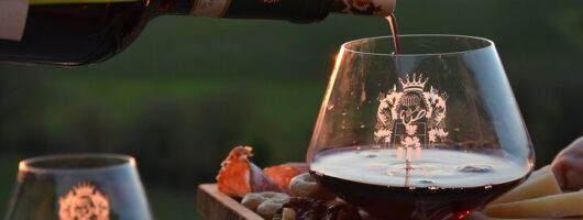 Winery tour with panoramic aperitif in Chianti