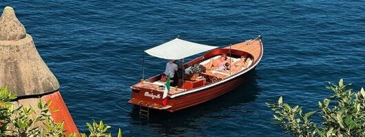 Portofino & San Fruttuoso: 2 hour Private Boat Tour