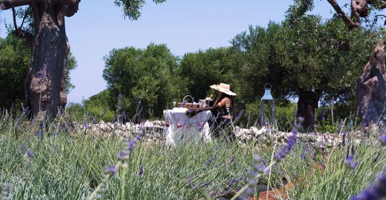 Polignano a Mare Lavender Fields Experience