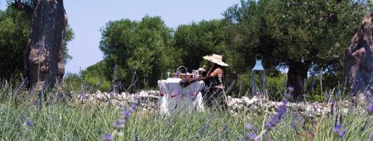 Private Olive Oil Tasting in Polignano a Mare