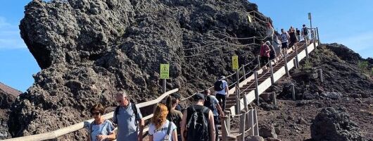 Pompeii and Vesuvius Combo Tour with Local Guide