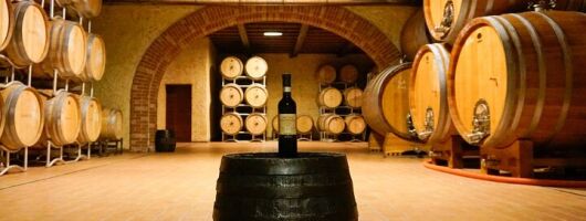 From the Cluster to the Chalice : A Journey into the Heart of Wine in Bardolino