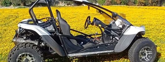 Buggy and Quad and Side-by-Side Excursions