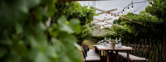 Benazzoli Wine Experience