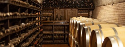 In the Heart of Chianti Classico : Wine, Winery and Tradition