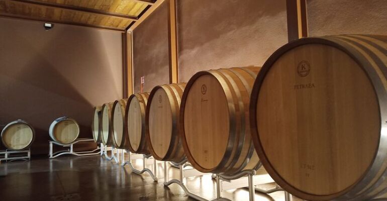 Volterra Authentic Wine Cellar Experience