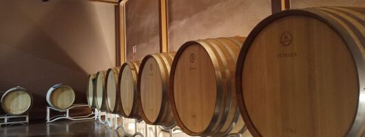 Volterra wines, sensory emotions of organic farming