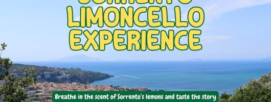 Discover Sorrento through lemons and olive trees