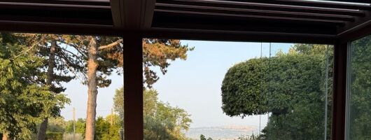 Between Vineyards and History: Taste Experience DA Orvieto
