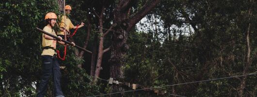 Adventure Park Il Pineto