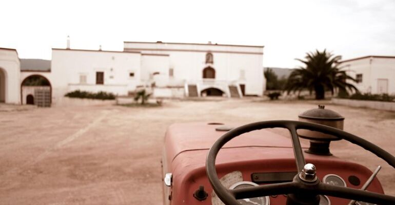 Fasano Olive Oil Tasting and Tour