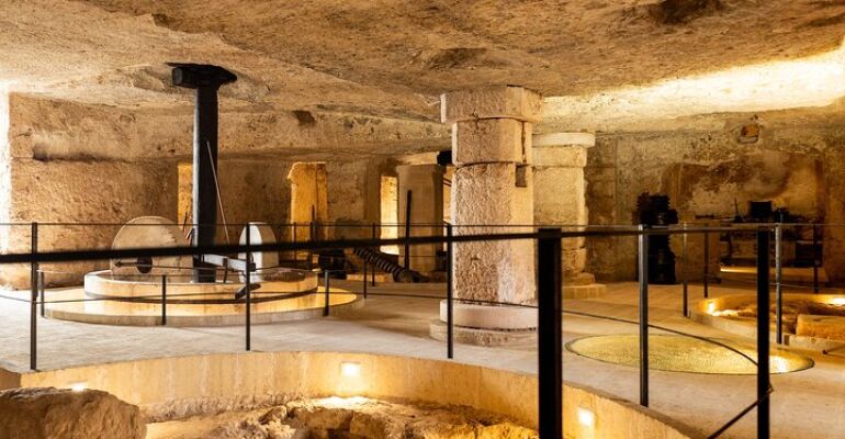 Pezze di Greco Olive Oil Museum Tour