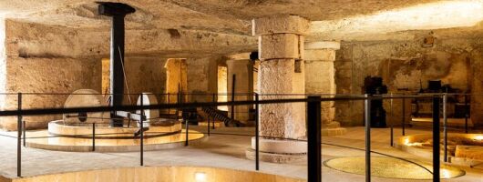Olive Oil Museum - Medieval Hypogeum Oil Mill - Fasano