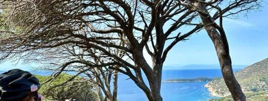 Unforgettable Bike Tours and Trekking on the Island of Elba