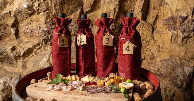 Valpolicella Wine Tasting Experience at Corte Badin