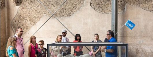 Skip the Line: Pompeii Express Small Group Guided Tour