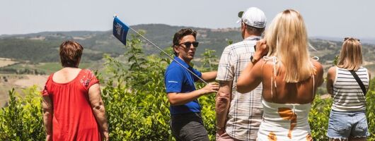 Rome: Tuscany & Montepulciano Day Trip with Lunch & Wine Tasting 
