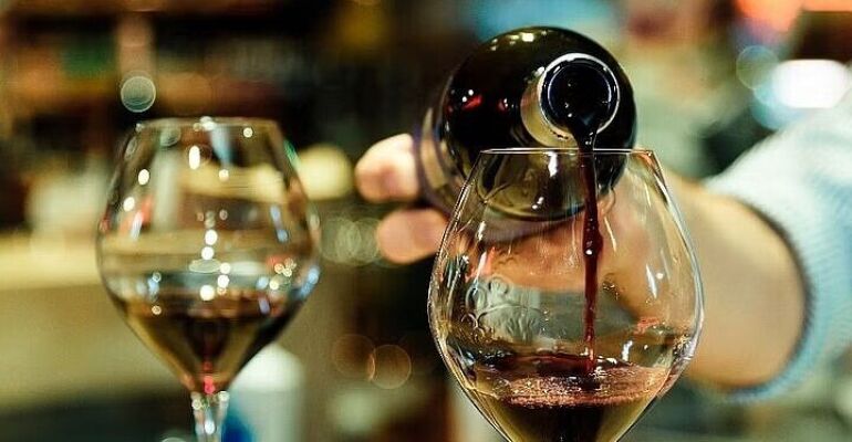 Chianti Wine Tasting and Vineyard Tour