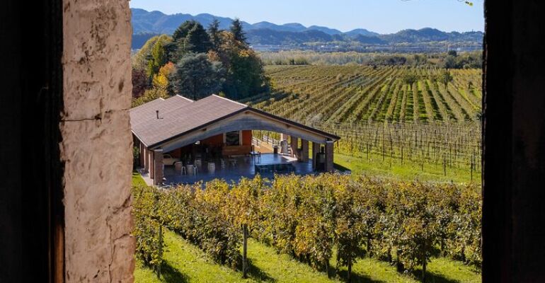 Valdobbiadene Wine Tasting and Culinary Experience