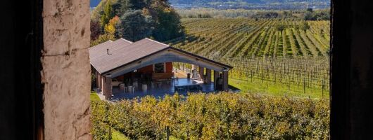 Winery Tour with Wine and Food Tasting in Valdobbiadene