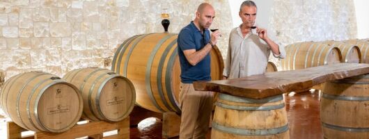  Wine and Food Pairing Experience at Alberobello Winery