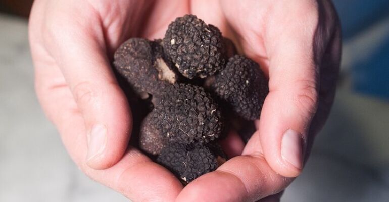 Perugia Truffle Culinary Experience at Home