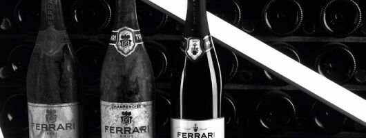 Ferrari Winery Tour & Local Lunch Near the Dolomites