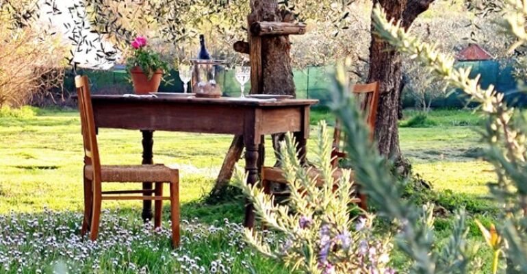 Florence Authentic Tuscan Dining Experience
