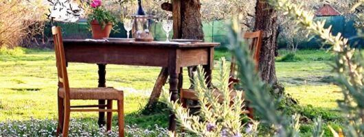 Dining Experience in a 13th-Century Monastery in Florence