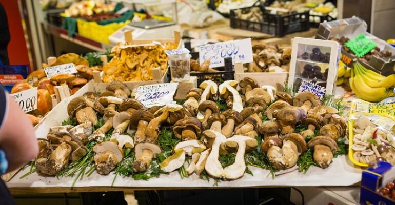 Trento Authentic Italian Cooking Class Experience