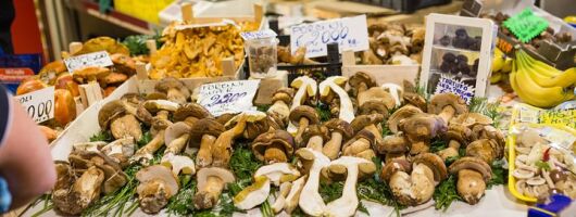 Small Group Market tour and Cooking class in Trento