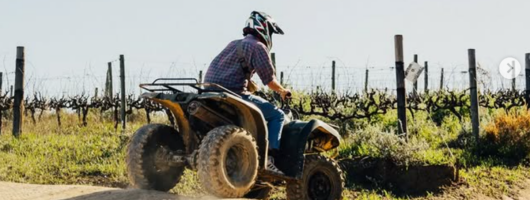 1-Hour Electric Quad Ride