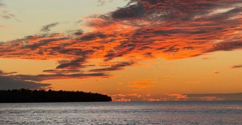 Naples Everglades Mangrove Sunset Boat Tour from $68.90